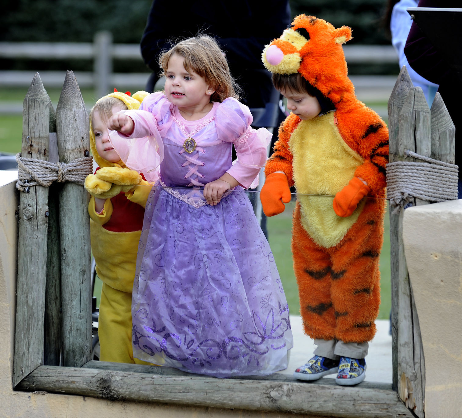 Pooh and Tigger meet a princess
